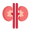 Kesehatan Ginjal